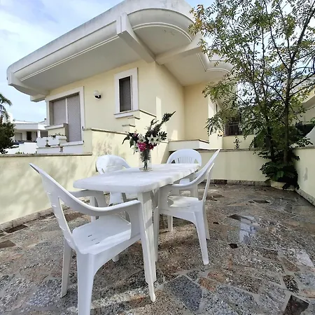 Narciso טורה ואדו