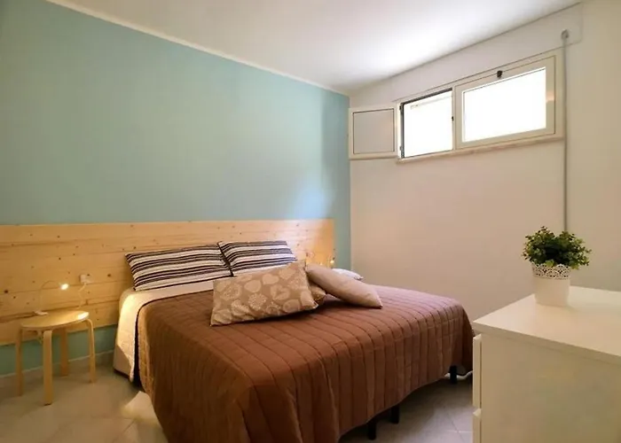 Narciso * טורה ואדו