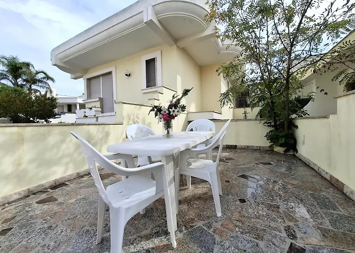 Narciso トッレ・ヴァード